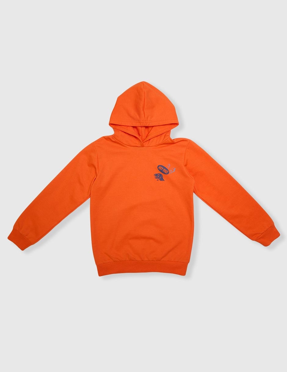 Sudadera para niño Sudadera para niño