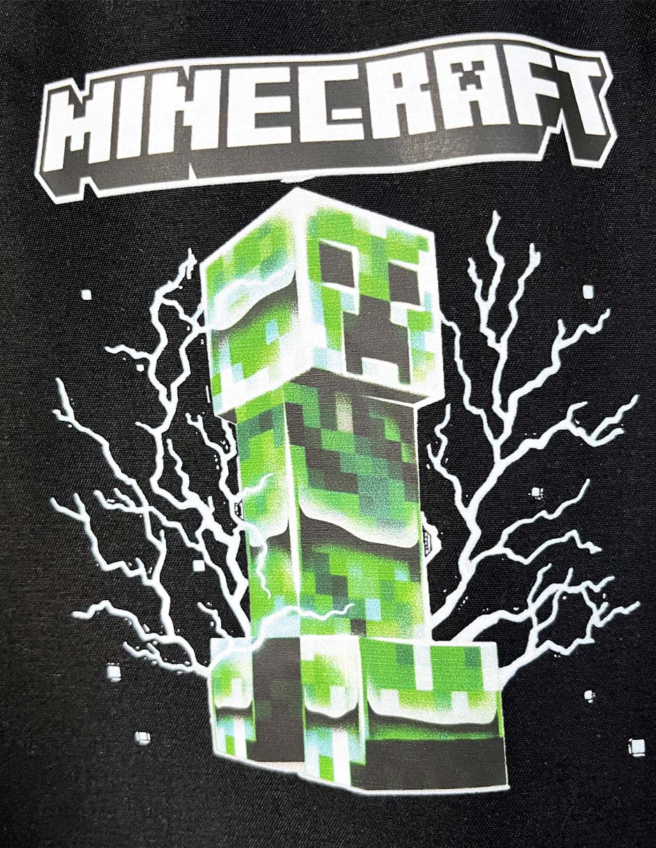 Pants Minecraft para niño 2
