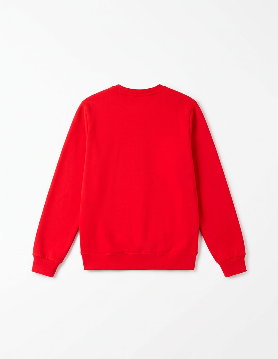 Sudadera para niño 2